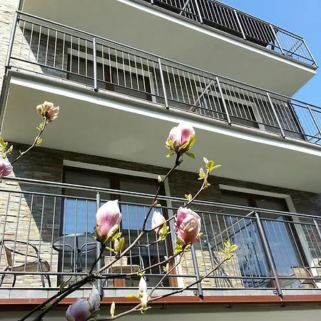 Goscinne Steyera 30 Ozonowane *