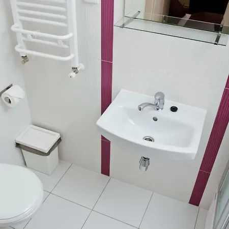 Goscinne Steyera 30 Ozonowane