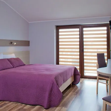 Goscinne Steyera 30 Ozonowane