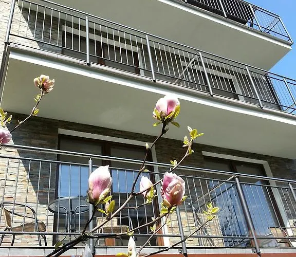 Goscinne Steyera 30 Ozonowane *