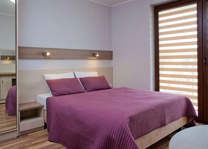 Goscinne Steyera 30 Ozonowane * Władysławowo