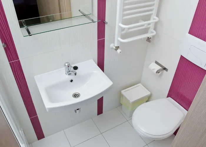 Goscinne Steyera 30 Ozonowane * Władysławowo