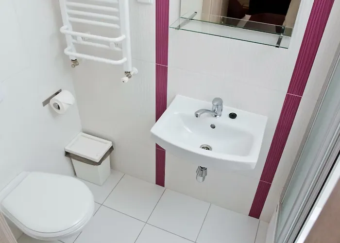 Goscinne Steyera 30 Ozonowane