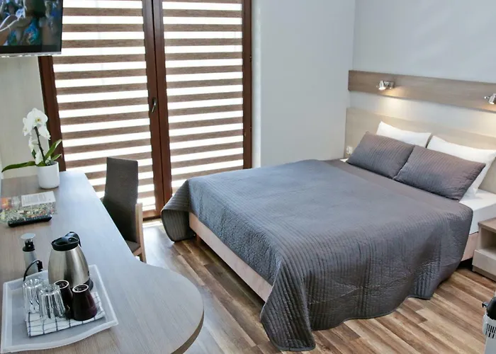 Goscinne Steyera 30 Ozonowane