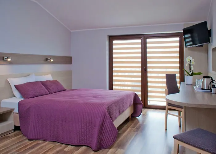 Goscinne Steyera 30 Ozonowane