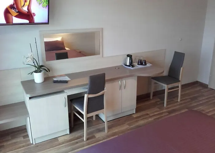 Goscinne Steyera 30 Ozonowane Władysławowo